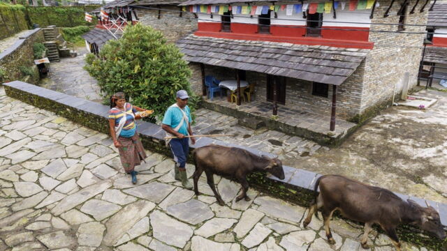 Vignette du programme télé Pékin express : Au royaume des dragons