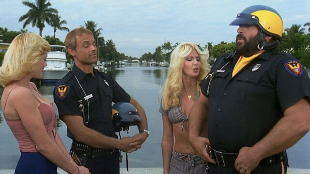 Vignette du programme télé Deux super-flics