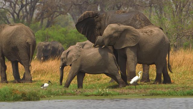 Vignette du programme télé Invitation au voyage