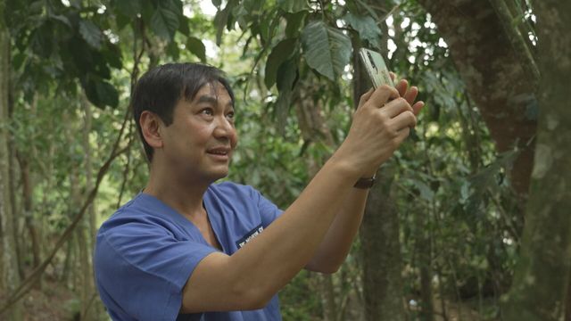 Vignette du programme télé Grands reportages