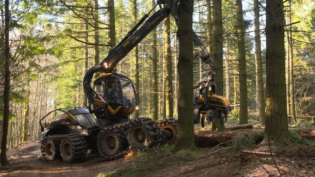 Vignette du programme télé Bûcheron : un métier à hauts risques - Saison 2