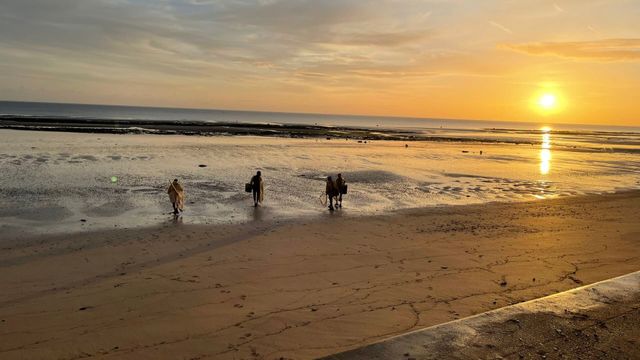 Vignette du programme télé Echappées belles