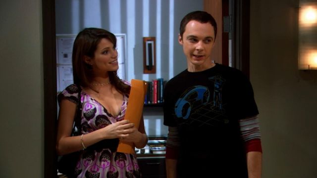 Vignette du programme télé Big Bang Theory - Saison 1