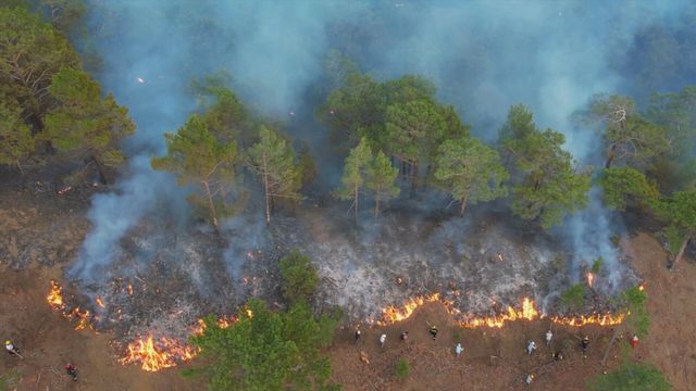 Vignette du programme télé Face aux éléments : la planète en colère - Saison 6