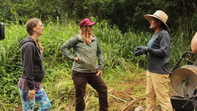 Vignette du programme télé Habitations en péril