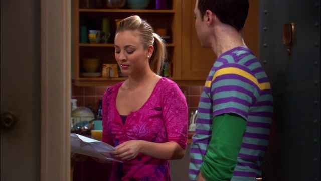 Vignette du programme télé Big Bang Theory - Saison 2