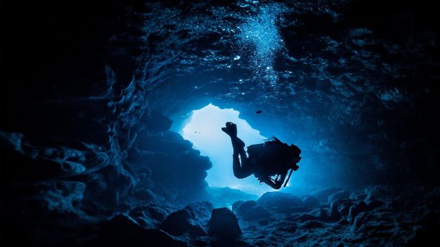 Vignette du programme télé Les grandes énigmes de l'Histoire - Saison 3