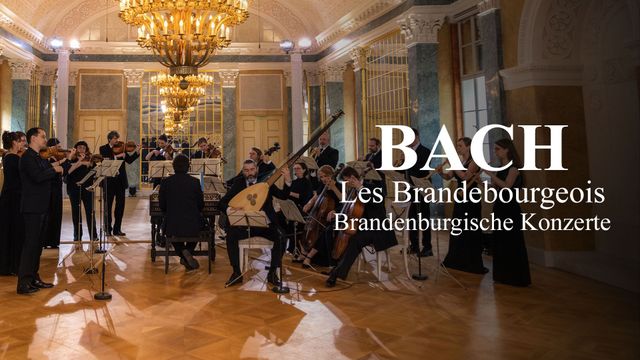 Vignette du programme télé Les Brandebourgeois de Bach