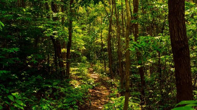 Vignette du programme télé Les dossiers Cold Case - Saison 2