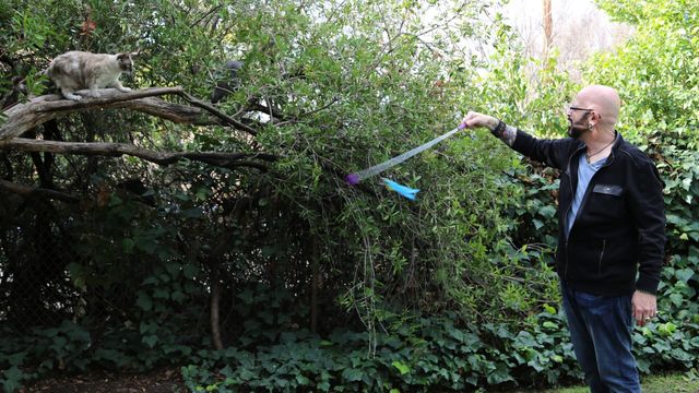 Vignette du programme télé Hell's Cats - Saison 8