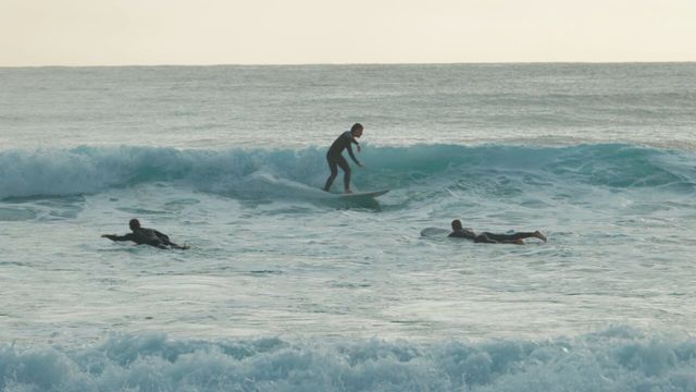 Vignette du programme télé Zone interdite