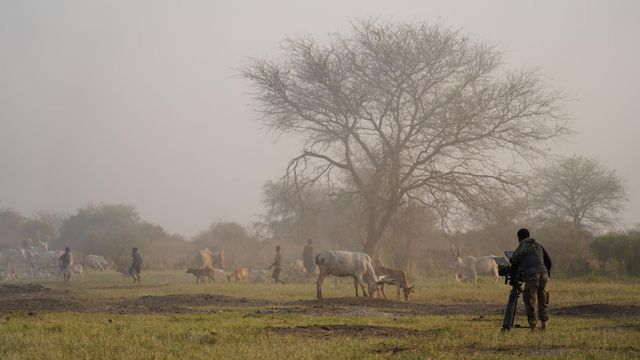 Vignette du programme télé Sur la piste du dernier rhinocéros blanc