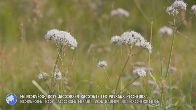 Vignette du programme télé Invitation au voyage