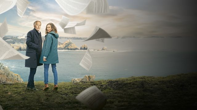 Vignette du programme télé Le mystère Henri Pick