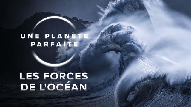 Vignette du programme télé Une planète parfaite - Saison 1