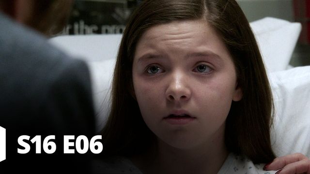 Vignette du programme télé New York Unité Spéciale - Saison 16