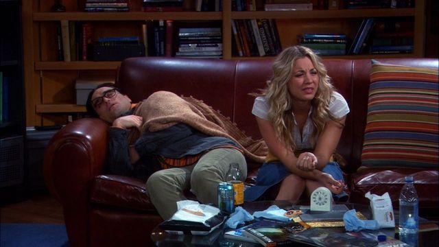 Vignette du programme télé Big Bang Theory - Saison 3