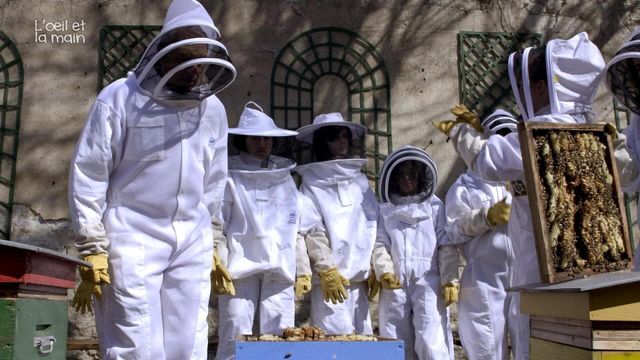 Vignette du programme télé L'oeil et la main