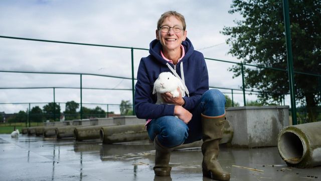 Vignette du programme télé Dr Cath : Mission adoption