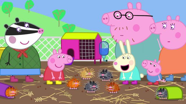 Vignette du programme télé Peppa Pig - Saison 6