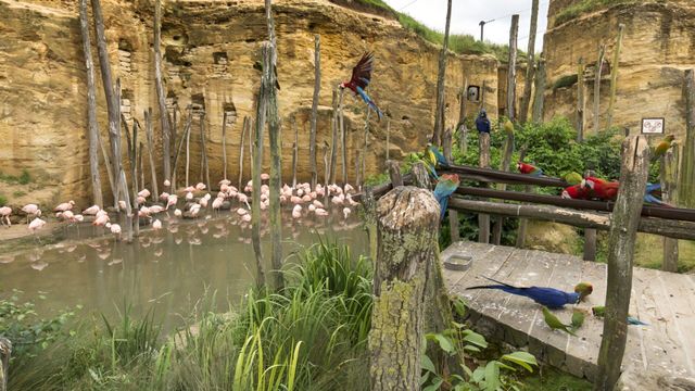 Vignette du programme télé Zoo : le défi de demain - Saison 1