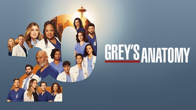 Vignette du programme télé Grey's Anatomy - Saison 20