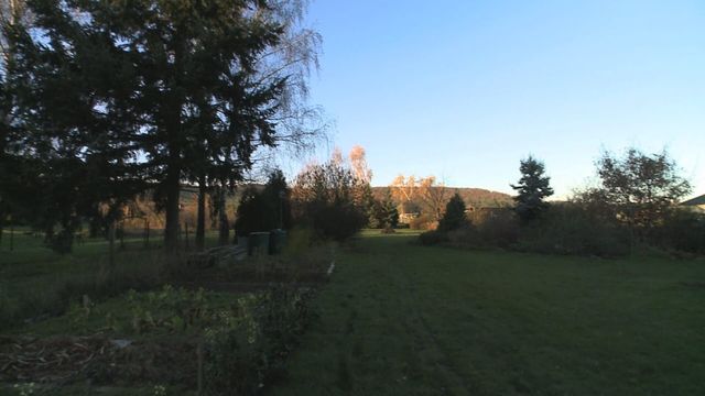 Vignette du programme télé Les carnets de Julie