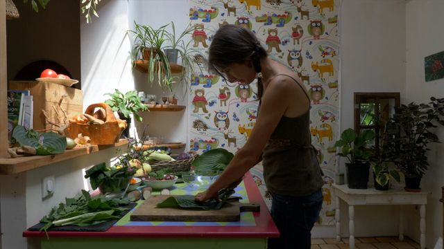 Vignette du programme télé La civilisation des arbres