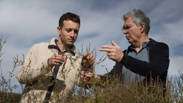 Vignette du programme télé Sur le front