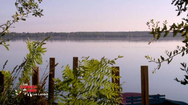 Vignette du programme télé Les carnets de Julie