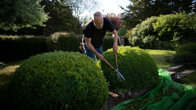 Vignette du programme télé Le jardinier, le bouddhiste et l'espion