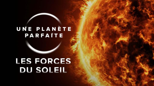 Vignette du programme télé Une planète parfaite - Saison 1