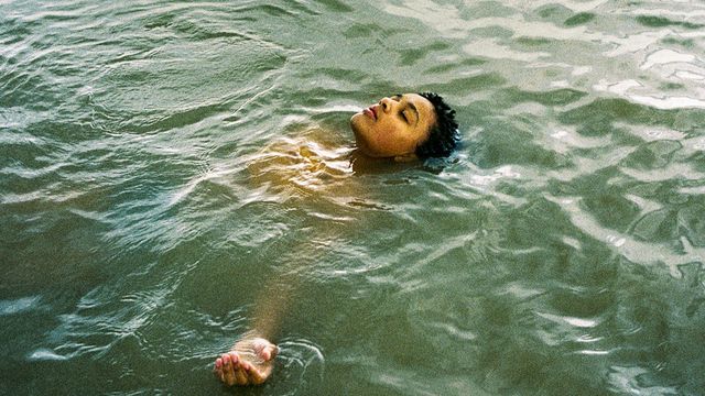 Vignette du programme télé Bird