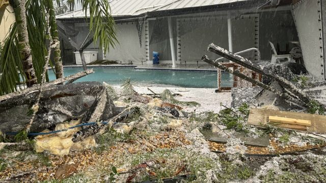 Vignette du programme télé Face aux éléments : la planète en colère - Saison 6