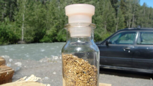 Vignette du programme télé Alaska : La ruée vers l'or