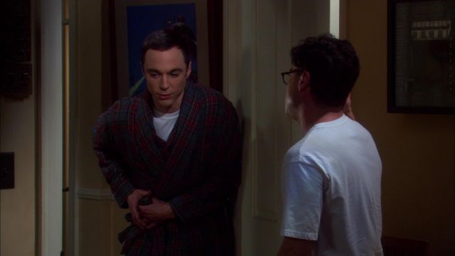 Vignette du programme télé Big Bang Theory - Saison 4