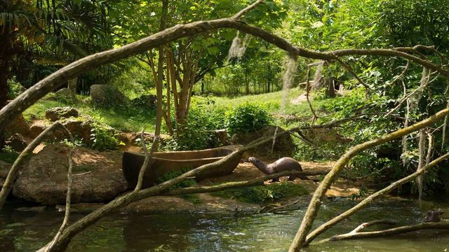 Vignette du programme télé Zoo : le défi de demain - Saison 1