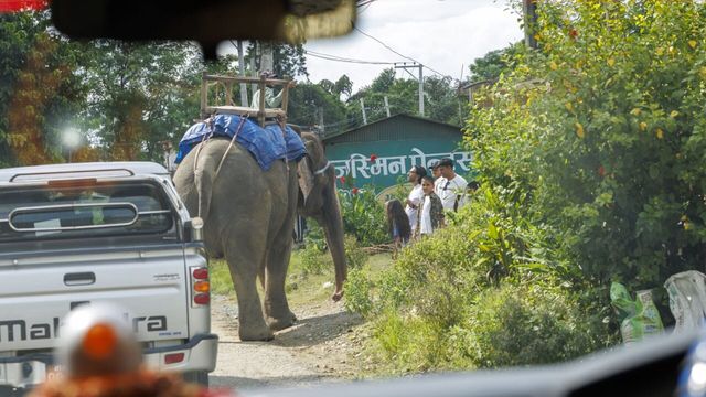 Vignette du programme télé Pékin express