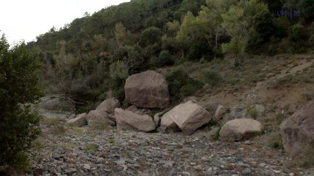 Vignette du programme télé Hors de contrôle