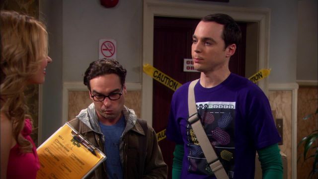 Vignette du programme télé Big Bang Theory - Saison 2