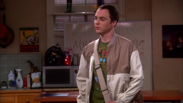 Vignette du programme télé Big Bang Theory - Saison 2