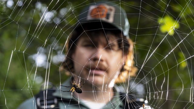 Vignette du programme télé Creepshow - Saison 2