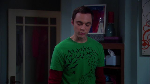 Vignette du programme télé Big Bang Theory - Saison 3