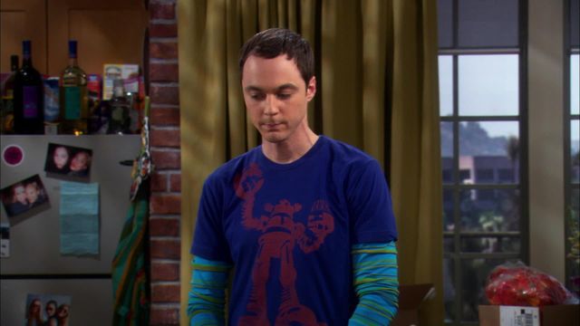 Vignette du programme télé Big Bang Theory - Saison 2