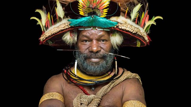 Vignette du programme télé Gardiens de la forêt - Saison 1