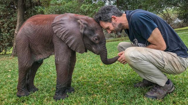 Vignette du programme télé Une planète parfaite - Saison 1
