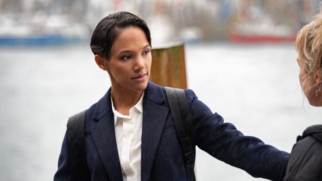 Vignette du programme télé Mystères au paradis - Saison 1