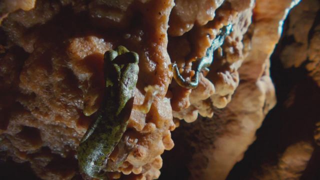 Vignette du programme télé Sardaigne, de roches et de pierres