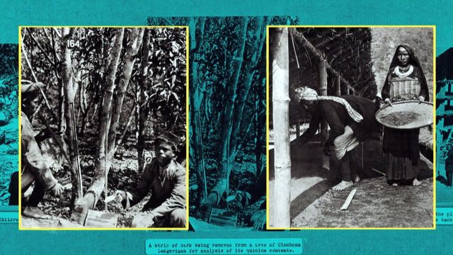 Vignette du programme télé Faire l'histoire