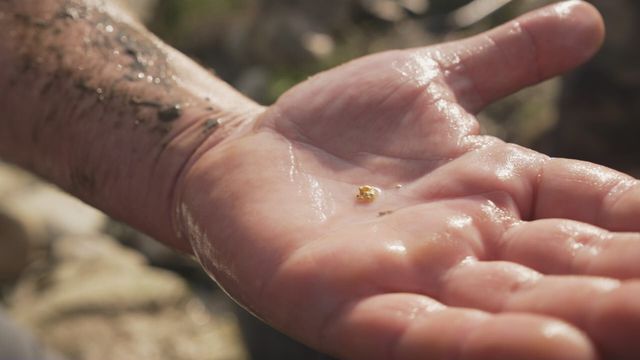 Vignette du programme télé Grands reportages
